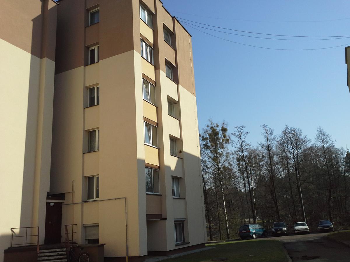 Lima Studio Druskininkai Buitenkant foto