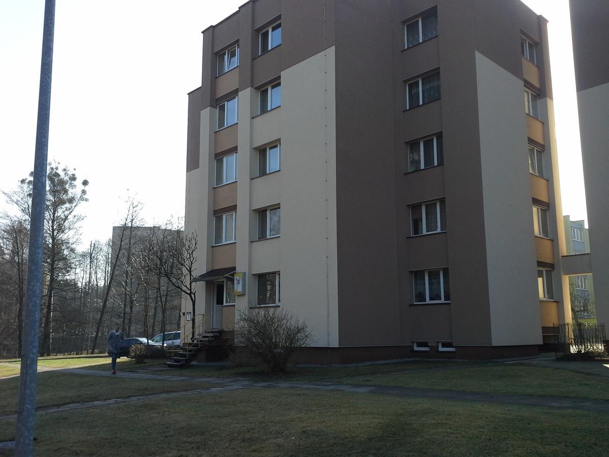Lima Studio Druskininkai Buitenkant foto